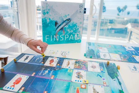 Finspan image